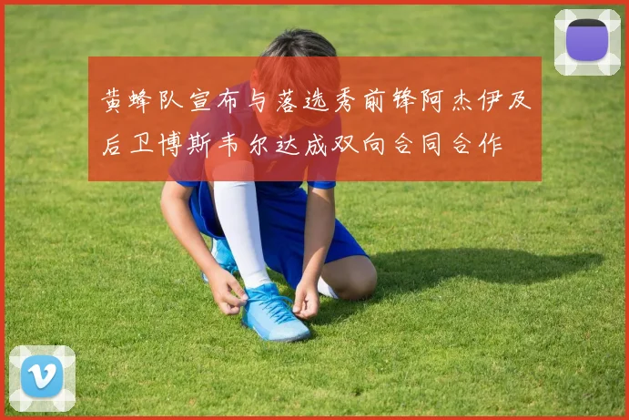 黄蜂队宣布与落选秀前锋阿杰伊及后卫博斯韦尔达成双向合同合作